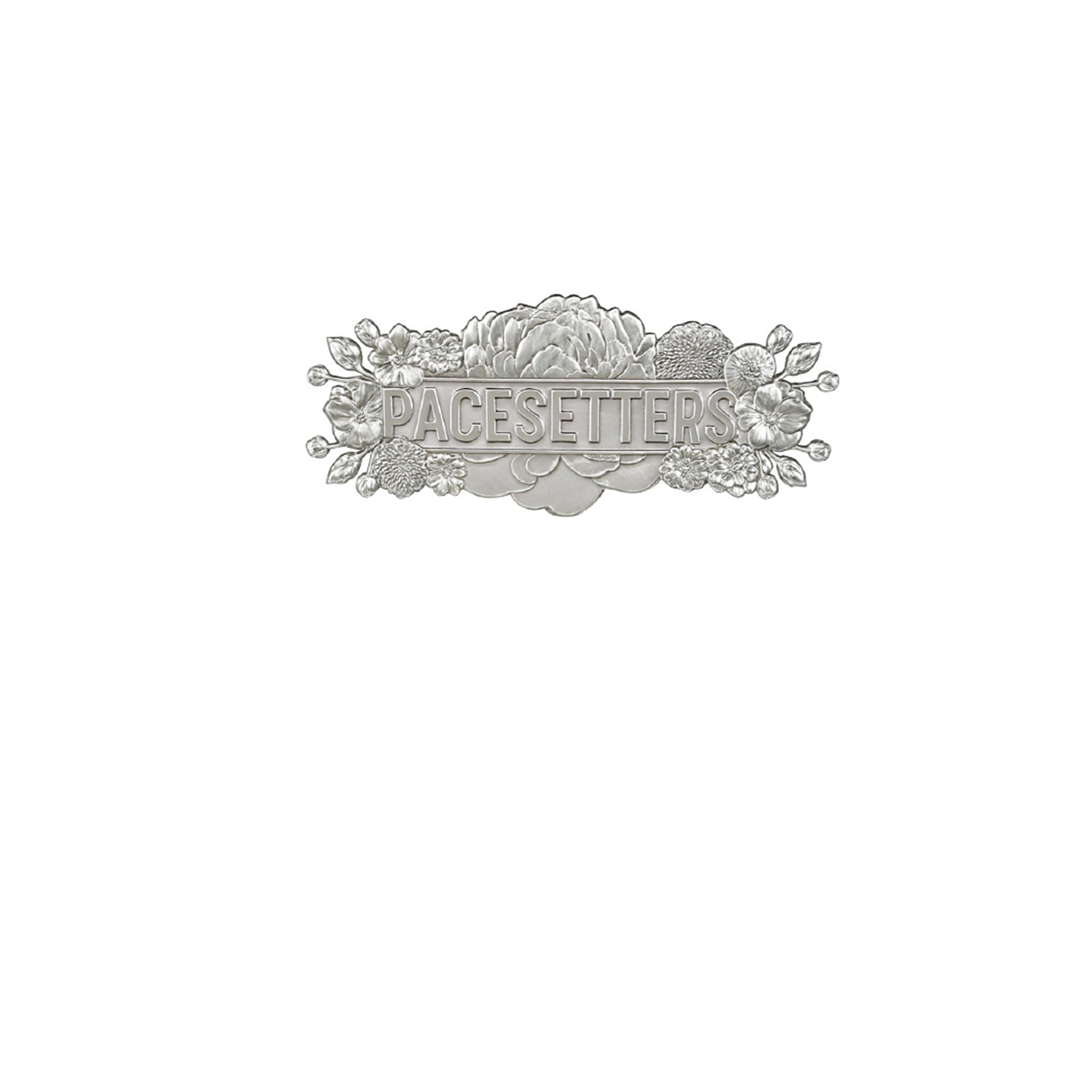 Die Struck Pins