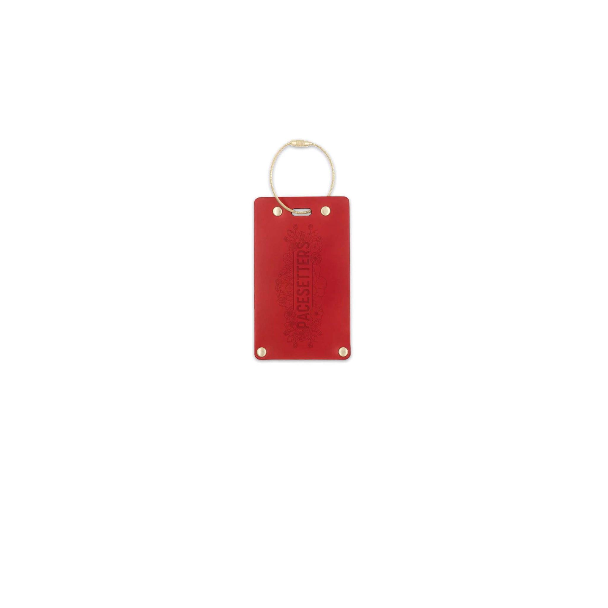 Standard Leather Luggage Tag